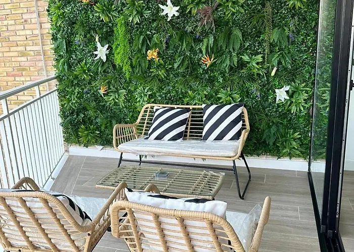 Calma Conchas 托雷莫利诺斯